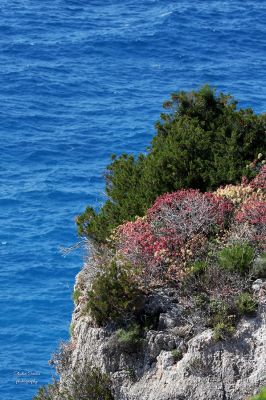 Kefalonia photographers14