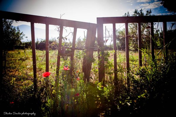 Kefalonia photographers41