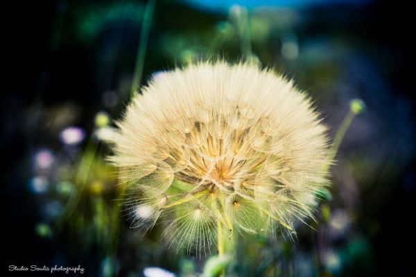 Kefalonia photographers44