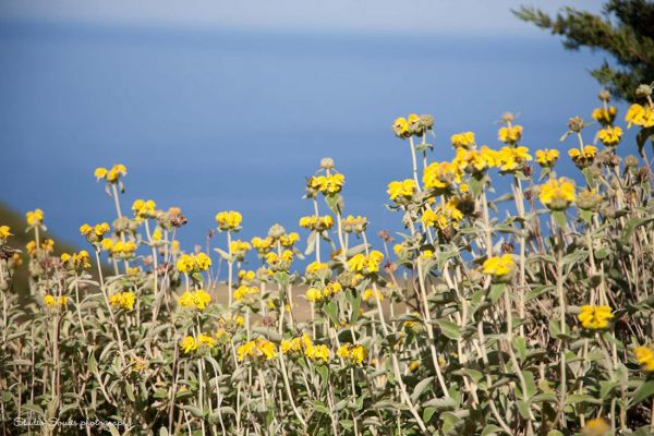 Kefalonia photographers45