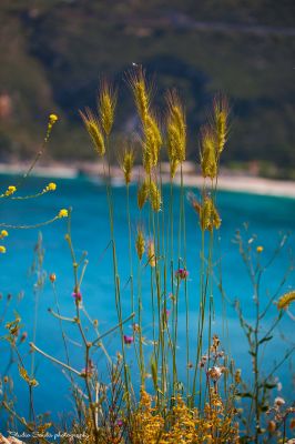 Kefalonia photographers49