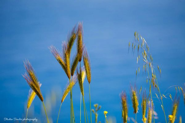 Kefalonia photographers50